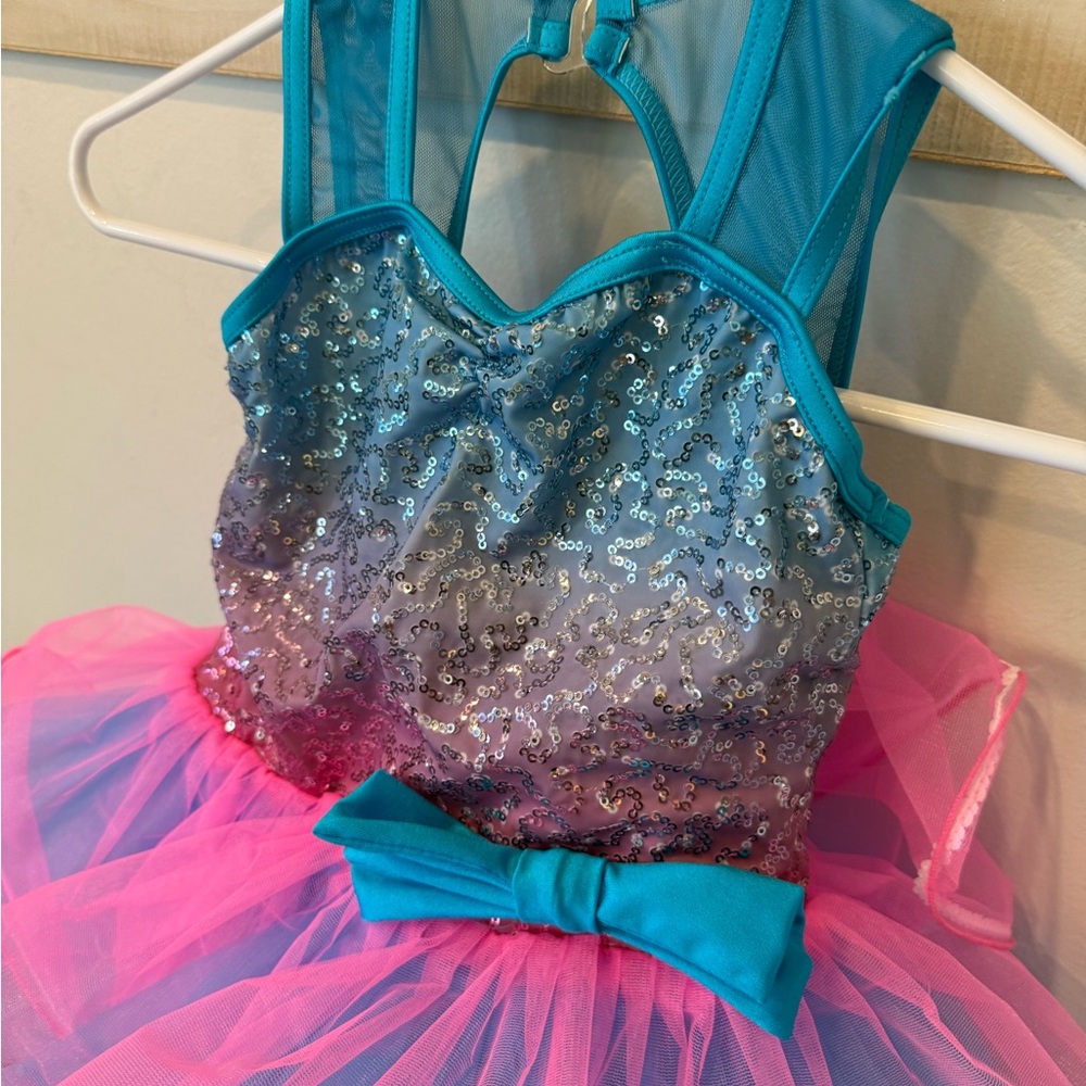 Weissman Tap Dancing Song costume tutu, pink blue, SC - Picture 6 of 8